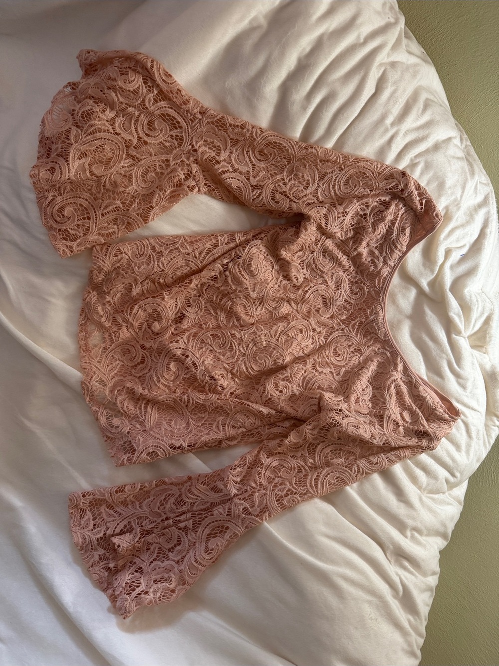 Adrianna Papell Blush Lace Bell-Sleeve Crop Top
